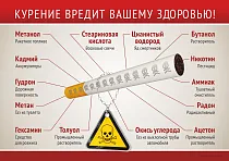Плакат о вреде курения (А2) (594х420; Пластик ПВХ 4 мм, алюминиевый профиль)